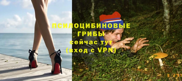 ALPHA-PVP Алексеевка