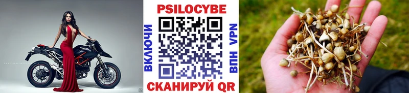 Галлюциногенные грибы GOLDEN TEACHER  МЕГА маркетплейс  Талица  наркотики 